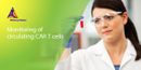 Monitoring of circulating CAR T cells