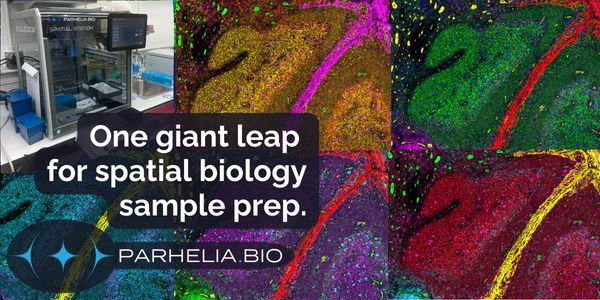 WEBINAR: Automation and integration of sample prep workflows for multiple spatial biology assays: a core lab perspective