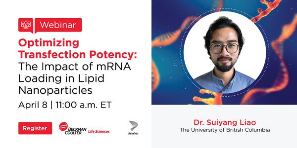 Transfection Potency of Lipid Nanoparticles Containing mRNA Depends on Relative Loading Levels