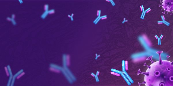 Introduction to Antibodies