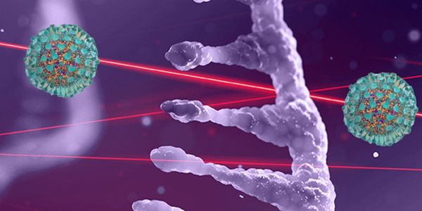 Immunological profiling using multiple model systems to understand SARS-CoV-2 infection