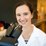 Lab on a Chip Technologies for Drug Discovery