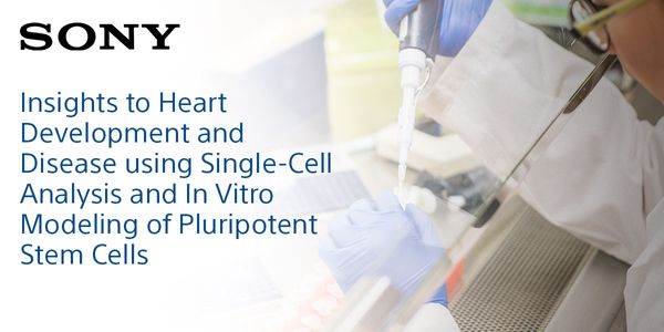 Insights to Heart Development and Disease using Single-Cell Analysis and In Vitro Modeling of Pluripotent Stem Cells