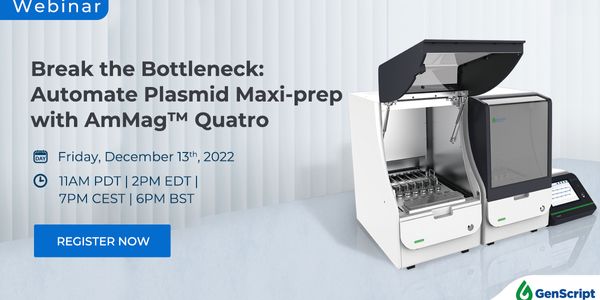 Break the Bottleneck: Automate Plasmid Maxi-prep with AmMag™ Quatro