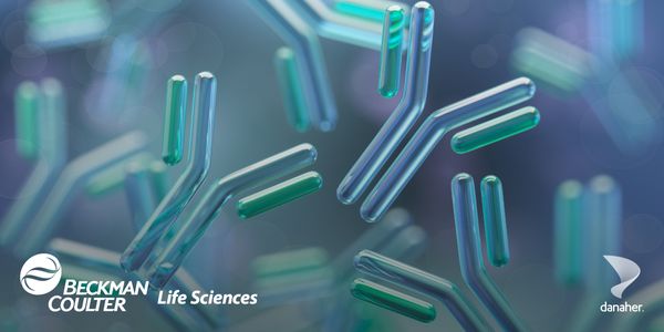 Evaluation of immune dysregulation and its clinical implications in Myelodysplastic Syndromes