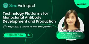 Technology Platforms for Monoclonal Antibody Development and Production