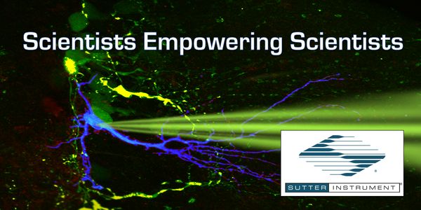 Scientists Empowering Scientists: Patch Clamp Equipment for the Twenty-First Century