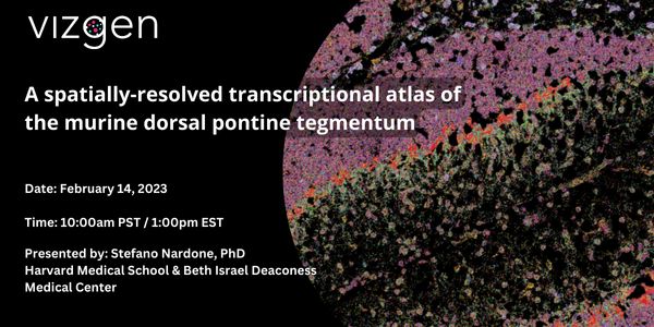 A spatially-resolved transcriptional atlas of the murine dorsal pontine tegmentum