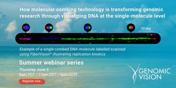 How molecular combing technology is transforming genomic research through visualizing DNA at the single-molecule level