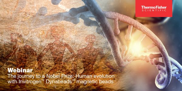 The Journey from Neanderthal DNA to a Nobel Prize: How Dynabeads Magnetic Beads Contribute to Understanding Human Evolution