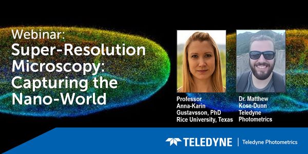 Super-Resolution Microscopy: Capturing the Nano-World