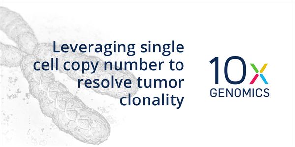 Leveraging single cell copy number to resolve tumor clonality
