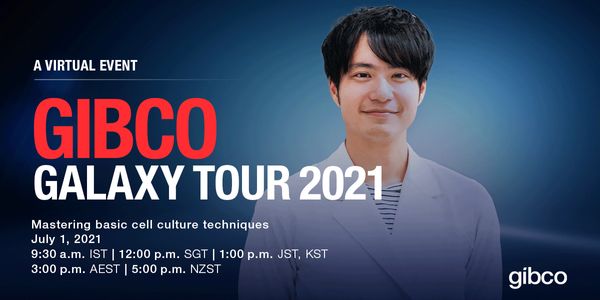 Mastering basic cell culture techniques