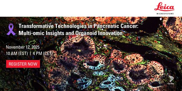 Transformative Technologies in Pancreatic Cancer: Multi-omic Insights and Organoid Innovation