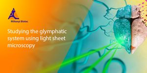 Studying the glymphatic system using light sheet microscopy