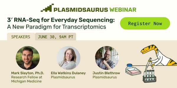 3′ RNA-Seq for Everyday Sequencing: A New Paradigm for Transcriptomics