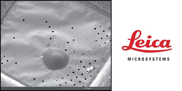 EM ICE - Workflows in Every Direction