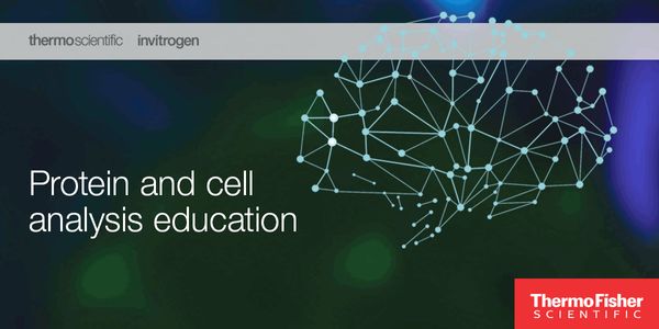The Use of Flow Cytometry to Identify Cancer Stem Cells in Primary Tumors and in Circulation