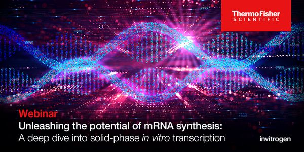 Unleashing the Potential of mRNA Synthesis: A Deep Dive into Solid-phase In vitro Transcription