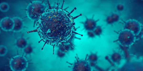 TARGETED PROFILING OF CRITICALLY ILL SARS-CoV-2 SUBJECTS: FROM TRANSCRIPTOME TO PROTEOME