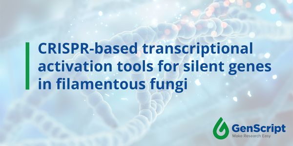 CRISPR-based transcriptional activation tools for silent genes in filamentous fungi
