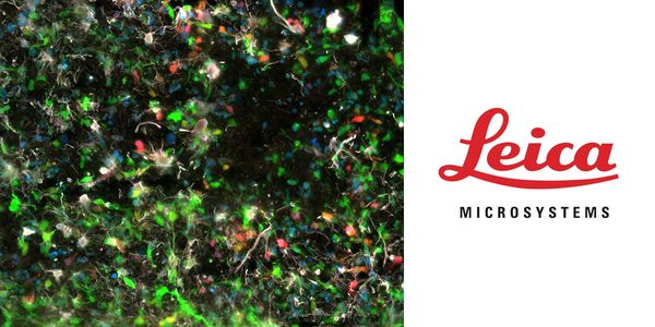 AAV Gene Therapy: A novel approach to AAV biopanning in human brain