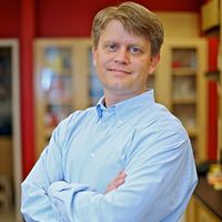 Novel CRISPR Knock-In Technology for the Robust Analysis of Cells and Tissue