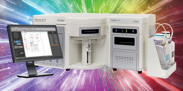 Endpoint assays for the characterization of rare and therapy-resistant cells in cancer