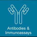 Protein and Cell Analysis Education Series featuring the Antibody Validation Forum