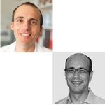 WEBINAR:  Rapid PGS workflow using next-generation sequencing