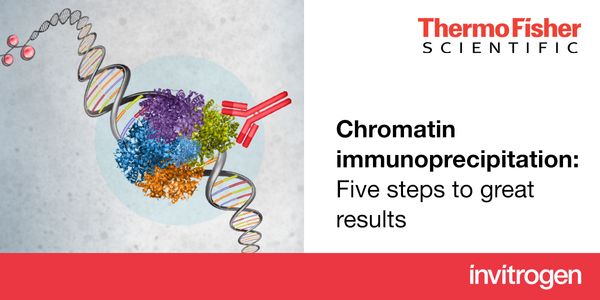 Chromatin immunoprecipitation: Five steps to great results