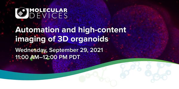 Automating culture and high-content imaging of 3D organoids for in vitro assessment of compound effects