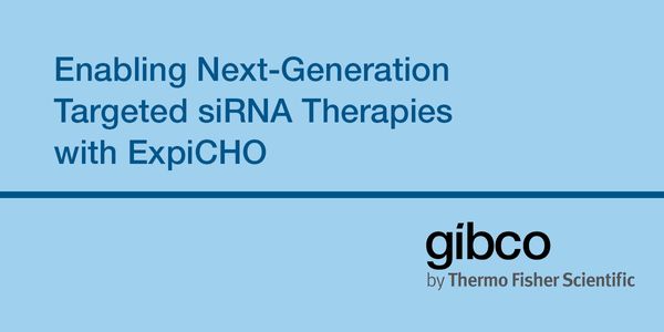 Enabling Next-Generation Targeted siRNA Therapies with ExpiCHO