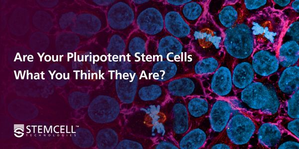 Best Practice Criteria for Pluripotent Stem Cell Lines