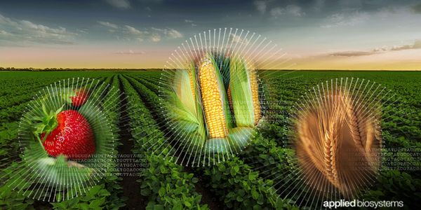 Design of Ready to Use Advanced Crop Genotyping Solutions