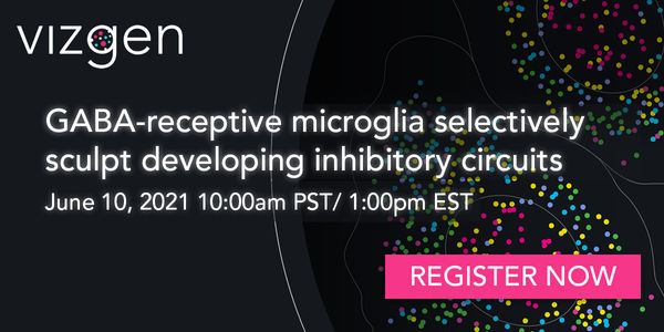 GABA-receptive microglia selectively sculpt developing inhibitory circuits