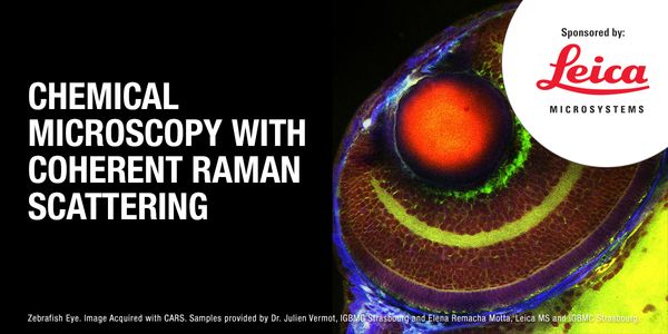 CHEMICAL MICROSCOPY WITH COHERENT RAMAN SCATTERING