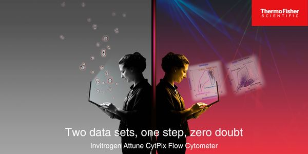 Make better decisions for cell therapy manufacturing: Leveraging image-enhanced flow cytometry for predictive donor material characterization