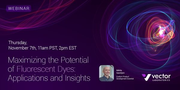 Maximizing the Potential of Fluorescent Dyes: Applications and Insights