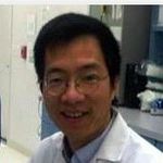 Highly efficient stem cell engineering via Cas9 protein transfection