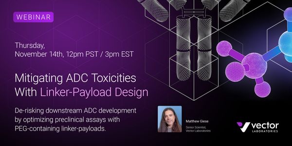 Mitigating ADC Toxicities With Linker-Payload Design