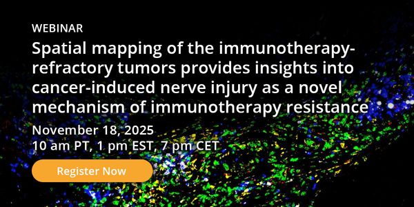 Spatial mapping of the immunotherapy-refractory tumors provides insights into cancer-induced nerve injury as a novel mechanism of immunotherapy resistance