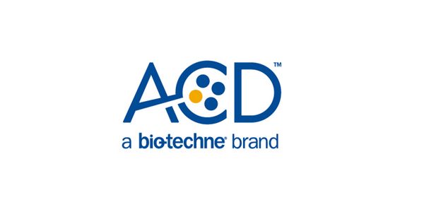 Validating single-cell RNA-seq data using Single-Cell Western blotting and RNAscope® technology