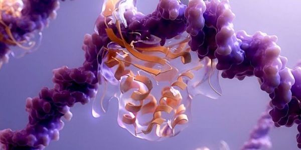 Know thy sample: Five methods to quantify your protein and when to use them