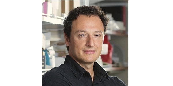 Applications of Brain-Model Technology