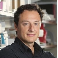 Applications of Brain-Model Technology