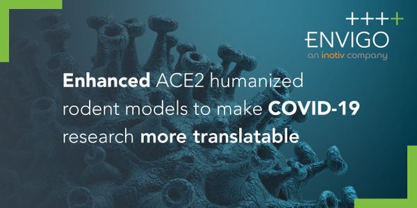 Enhanced ACE2 humanized rodent models to make COVID-19 research more translatable