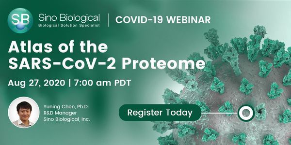 Atlas of the SARS-CoV-2 Proteome