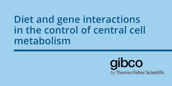 Diet and gene interactions in the control of central cell metabolism