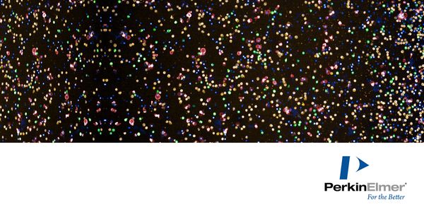 Image-based screening for precision medicine and immunotherapy